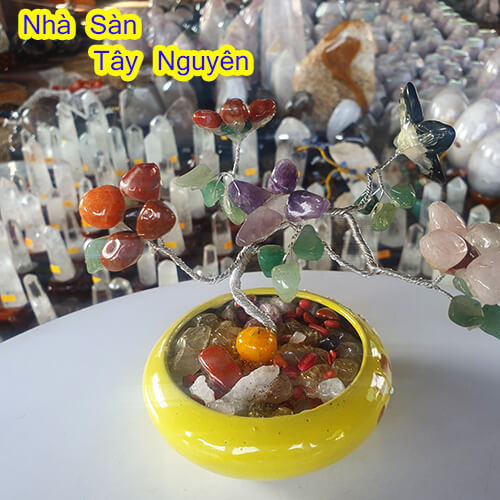 Cây Tài Lộc Đặt Bàn