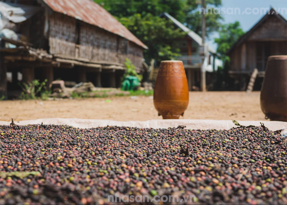 Ché Rựơu Vào Cà Phê