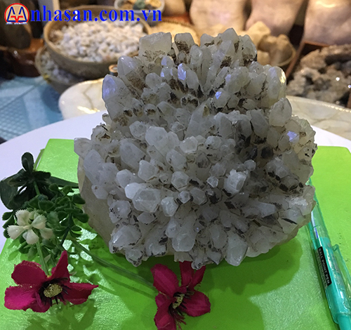 Chùm Tinh Thể T114.1 Chùm Tinh Thể T114.1