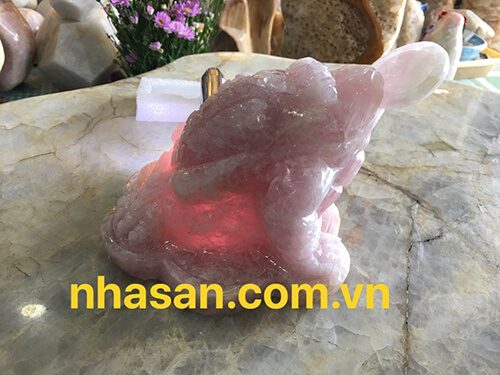 Cóc 3 chân là gì? Cóc 3 chân là gì?