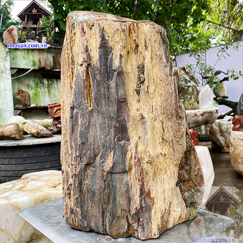 Công dụng của gỗ hóa thạch  Công dụng của gỗ hóa thạch
