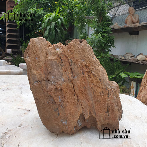 Công Dụng Của Gỗ Hóa Thạch Công Dụng Của Gỗ Hóa Thạch