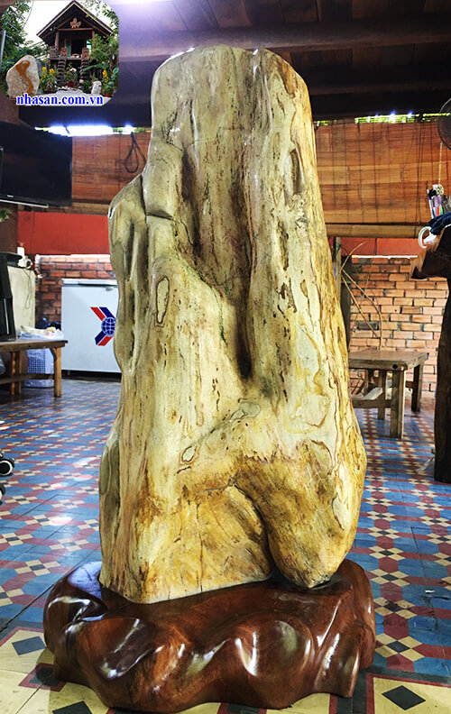 Công dụng của gỗ hóa thạch Công dụng của gỗ hóa thạch