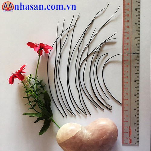 Công Dụng Của Lông Đuôi Voi Công Dụng Của Lông Đuôi Voi