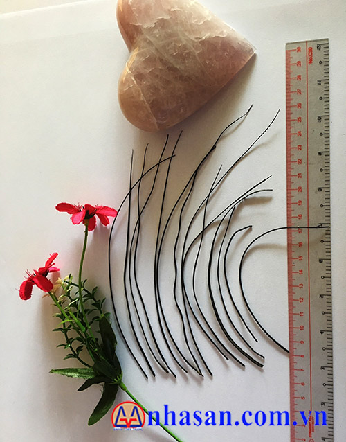 Công Dụng Của Lông Đuôi Voi Công Dụng Của Lông Đuôi Voi