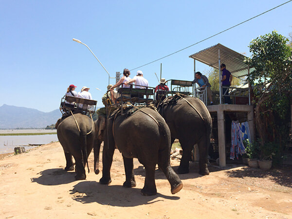 Cưỡi voi Ma Thái