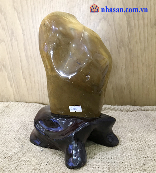 CXD71 yellow canxedon