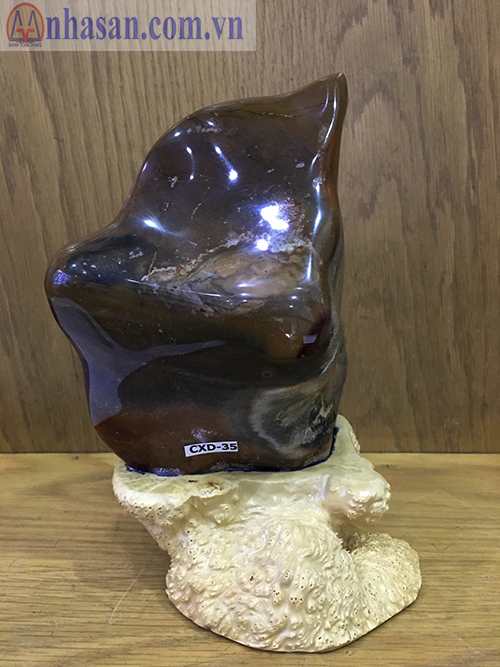 Caxedon stone is brown in color