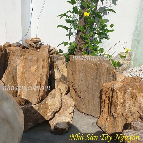 Đá Gỗ Hóa Thạch Thô