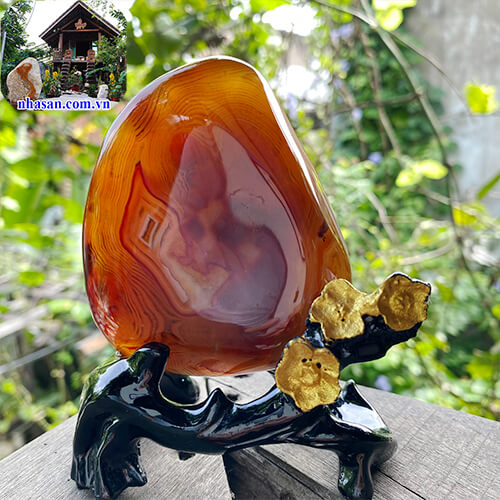 Đá mã não đỏ biểu tượng của sức khỏe và trường thọ  Đá mã não đỏ biểu tượng của sức khỏe và trường thọ