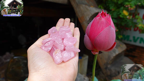 Đá thạch anh vụn hồng Đá thạch anh vụn hồng