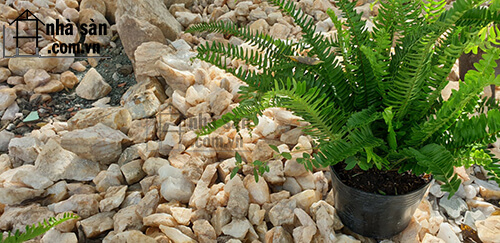 Đá Thạch Anh Vụn Cỡ 4x6 Đổ Móng Đá Thạch Anh Vụn Cỡ 4x6 Đổ Móng