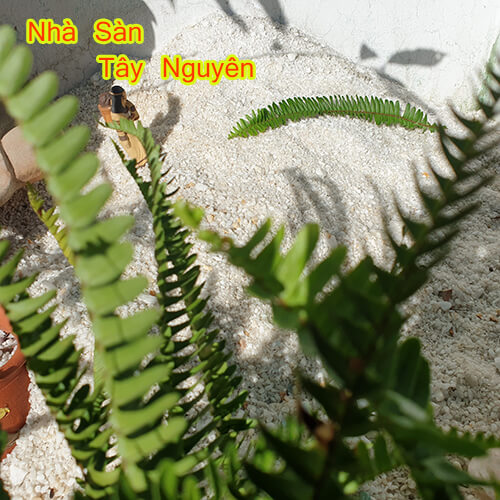 Đá Thạch Anh Vụn Cỡ Nhỏ 0.3x0.5