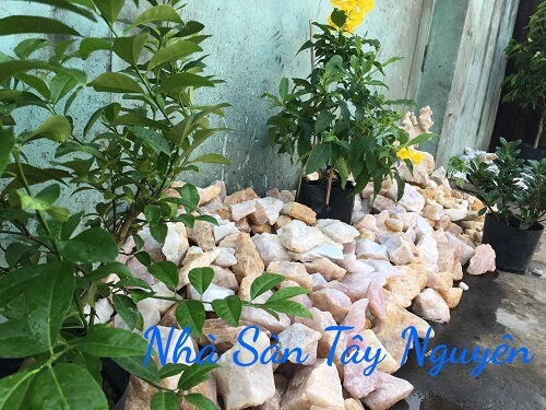 Đá Thạch Anh Vụn Hồng Thô