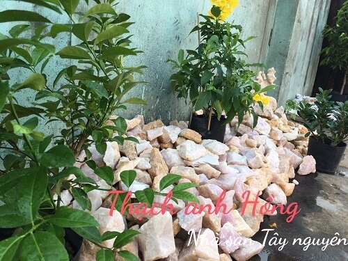 Đá Thạch Anh Vụn Hồng Thô Đá Thạch Anh Vụn Hồng Thô