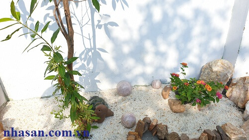 Rough Quartz With Scattered Tree Stumps