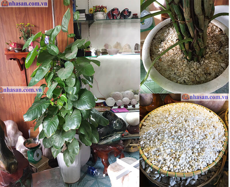 Rippled Quartz Rock Stump