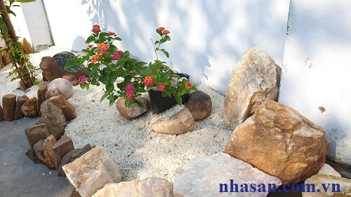 Rippled Quartz Stone Stumps Tree Prick