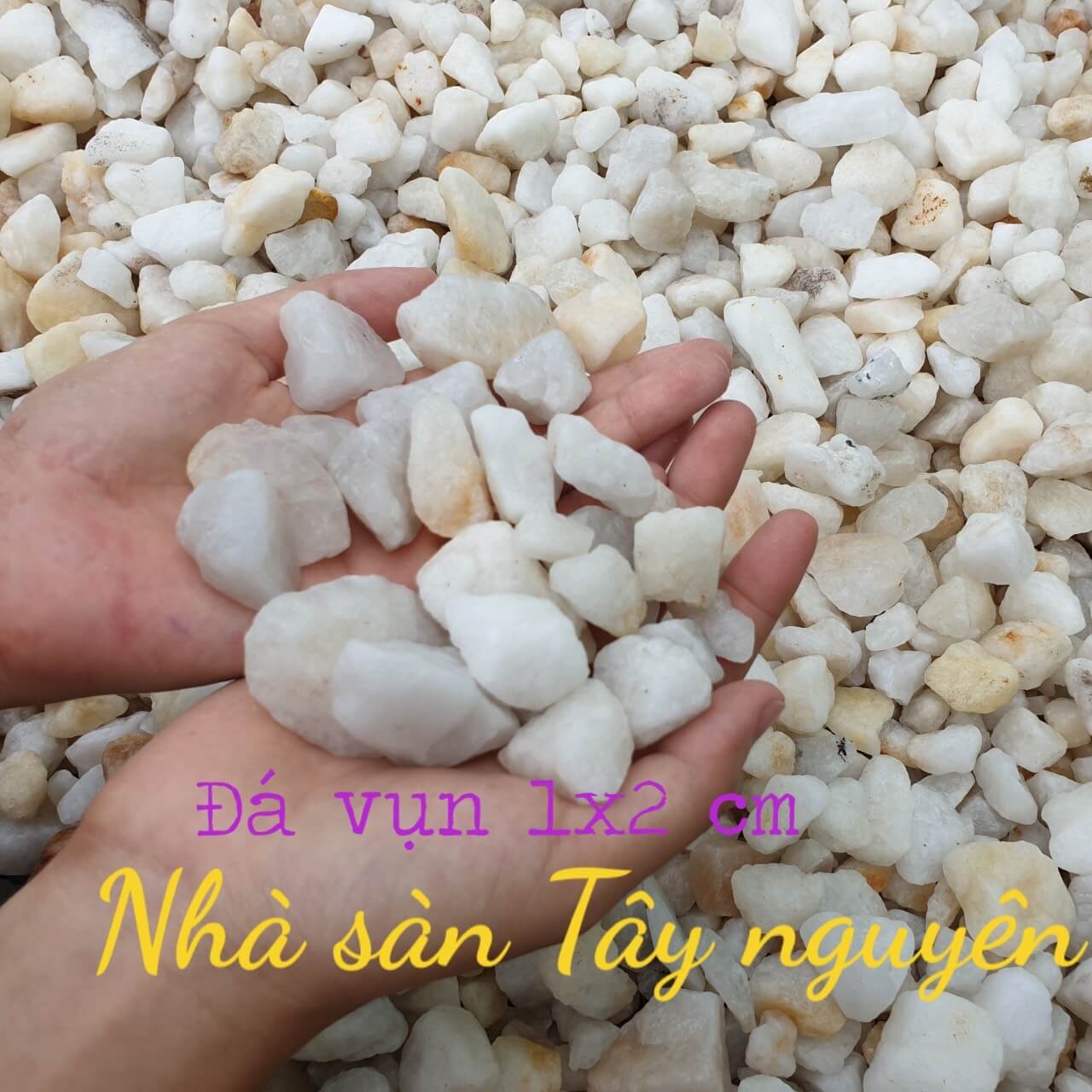 Đá Thạch Anh Vụn Rải Nền Trấn Trạch Đá Thạch Anh Vụn Rải Nền Trấn Trạch