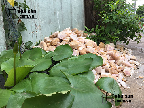 Đá Thạch Anh Hồng Đặt Phòng Ngủ Giúp Giảm Stress Đá Thạch Anh Hồng Đặt Phòng Ngủ Giúp Giảm Stress