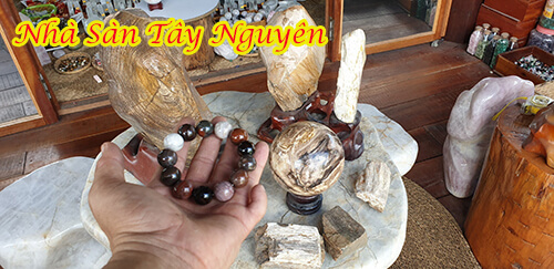 Price Of Natural Fossil Wood Ball