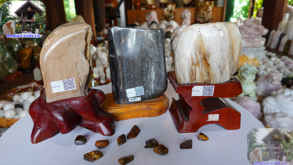 Phân loại và dấu hiệu nhận biết gỗ hóa thạch