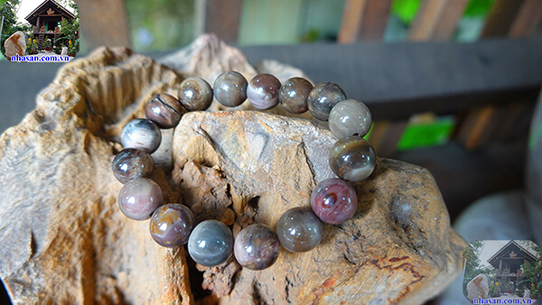 Yếu tố ảnh hưởng đến giá trị của gỗ hóa thạch