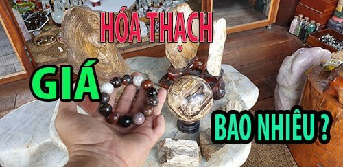 Fossil Wood Polished Feng Shui