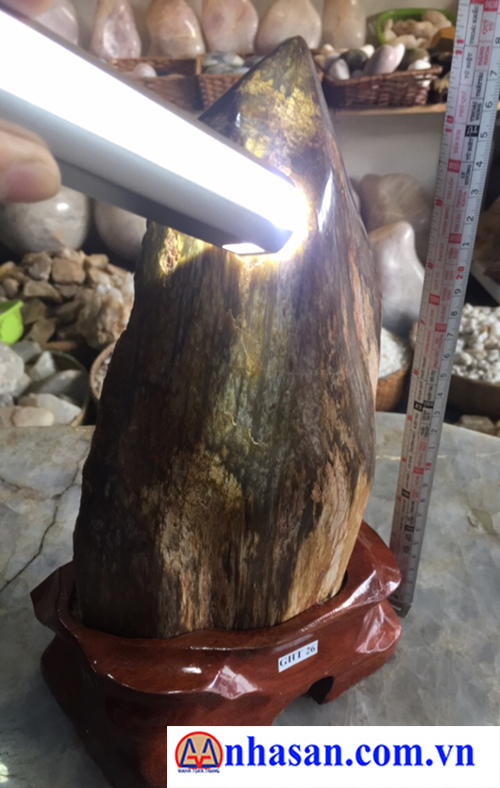Gỗ Hóa Thạch GHT 26.1 Gỗ Hóa Thạch GHT 26.1