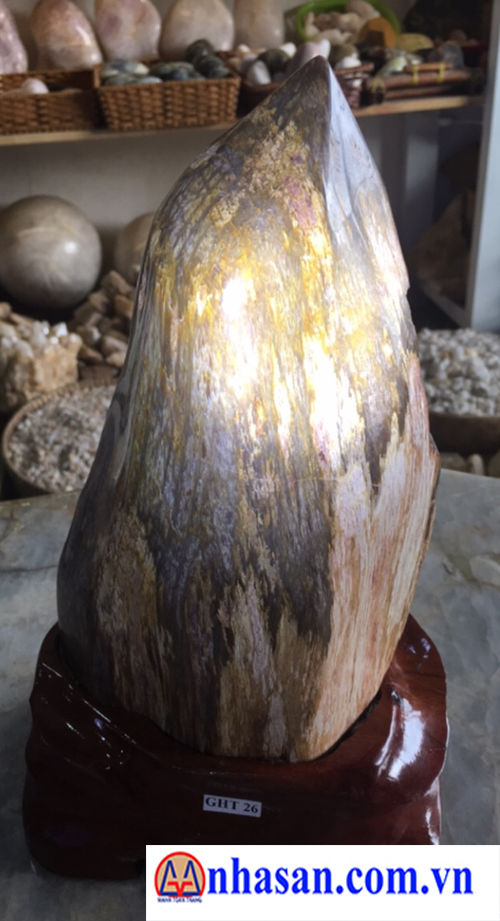 Gỗ Hóa Thạch GHT 26.3 Gỗ Hóa Thạch GHT 26.3