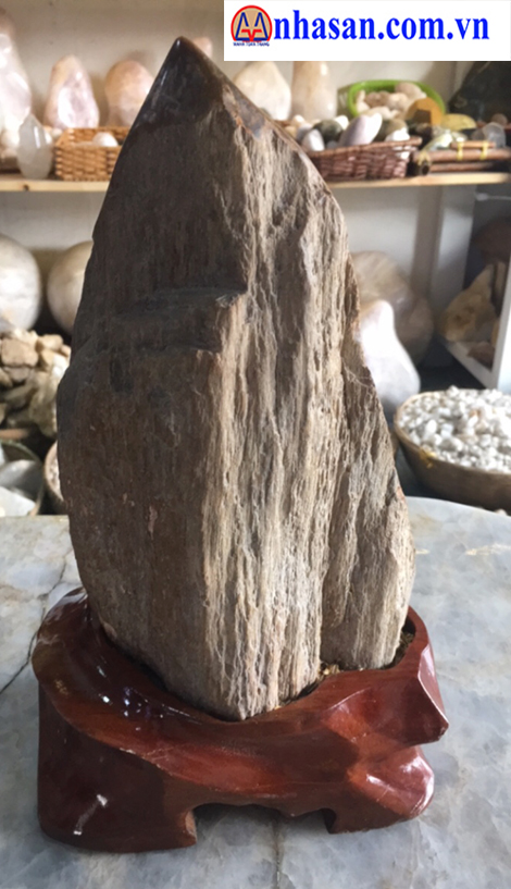 Gỗ Hóa Thạch GHT 26.4 Gỗ Hóa Thạch GHT 26.4