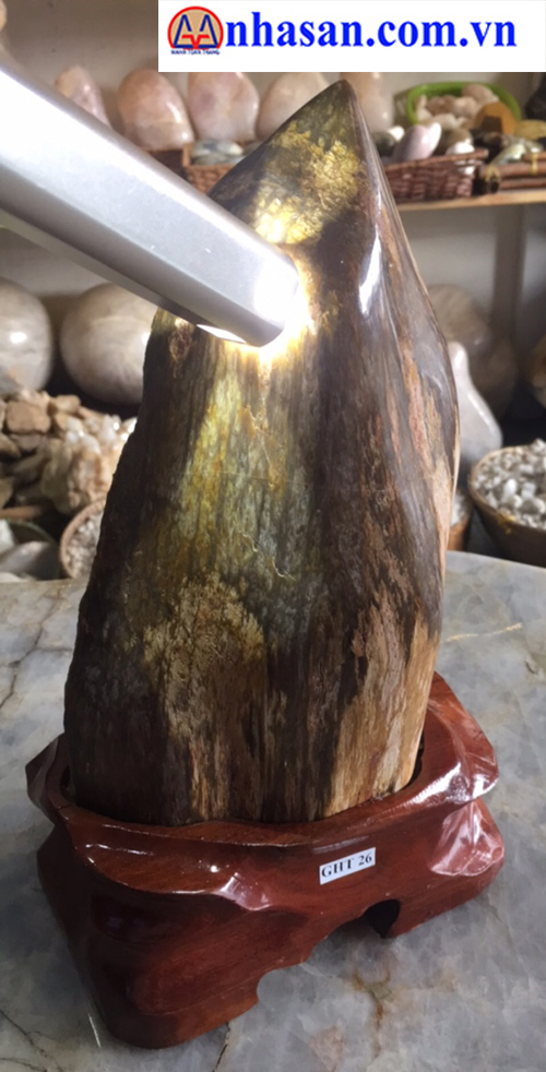Gỗ Hóa Thạch GHT 26 Gỗ Hóa Thạch GHT 26