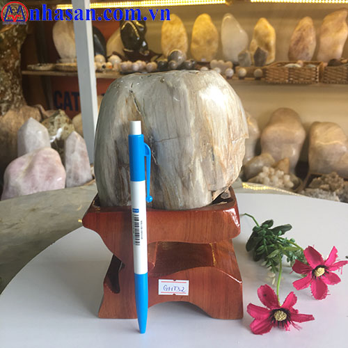 Petrified Wood GHT-32.1