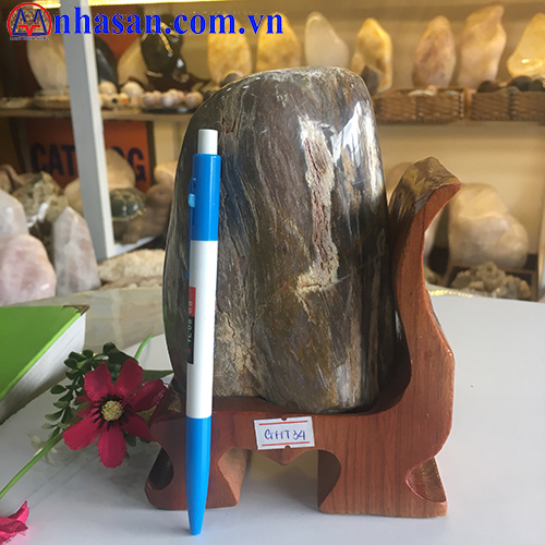 Petrified Wood GHT-34.1