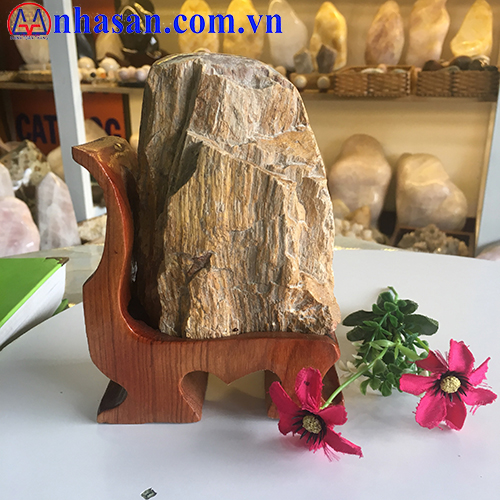 Petrified Wood GHT-34.2