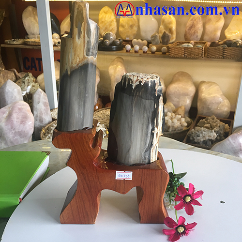 Gỗ Hóa Thạch GHT-35.1 Gỗ Hóa Thạch GHT-35.1