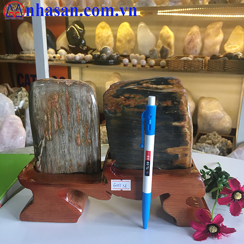 Petrified Wood GHT-36.1