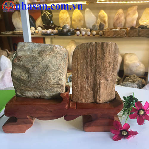 Petrified Wood GHT-36.2