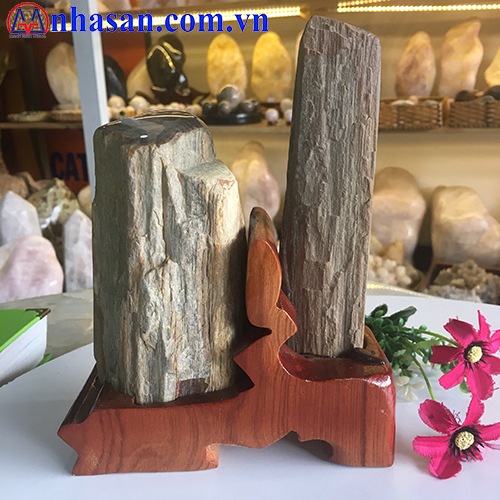 Gỗ Hóa Thạch GHT-37.2 Gỗ Hóa Thạch GHT-37.2