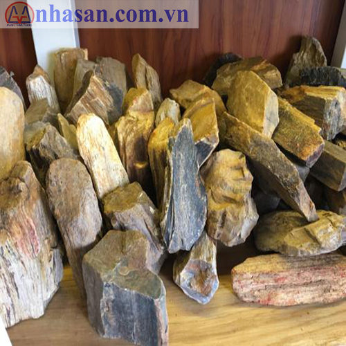 Gỗ Hóa Thạch Nguyên Bản  Gỗ Hóa Thạch Nguyên Bản