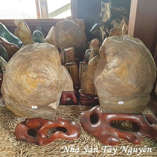 Gỗ Hóa Thạch Phong Thủy An Giang