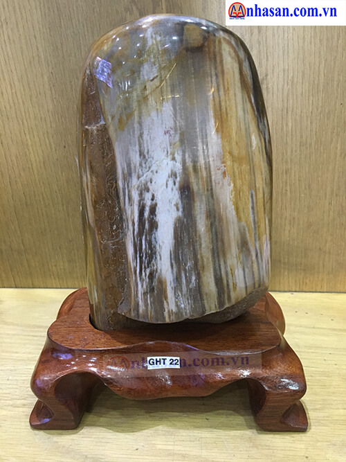 Gỗ Hóa Thạch Phong Thủy Vĩnh Long Gỗ Hóa Thạch Phong Thủy Vĩnh Long