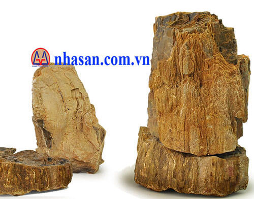 Gỗ hóa thạch thiên nhiên làm hồ cá