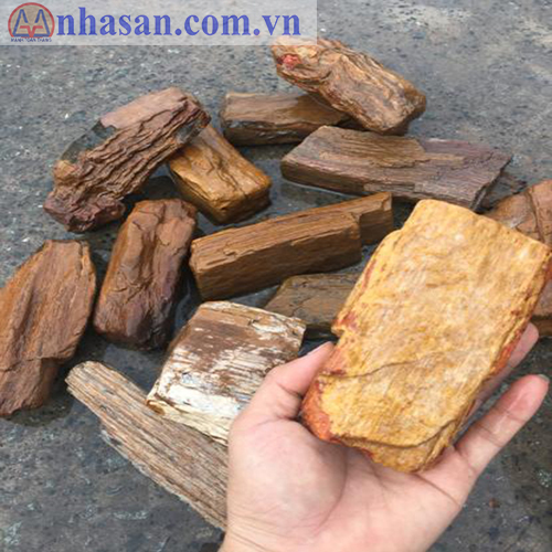 Gỗ Hóa Thạch Thô