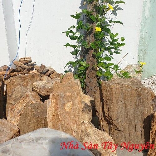 Rough Hoa Thach Wood