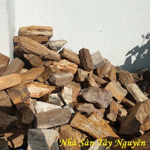 Gỗ Hóa Thạch Thô Loại Nhỏ Chặn Giấy