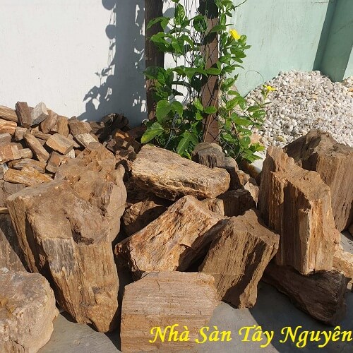 Gỗ Hóa Thạch Thô Phong Thủy Gỗ Hóa Thạch Thô Phong Thủy