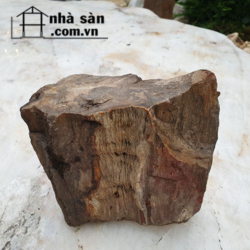 Gỗ Hóa Thạch Thô Phong Thủy Gỗ Hóa Thạch Thô Phong Thủy