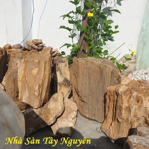 Natural Feng Shui Raw Fossil Wood