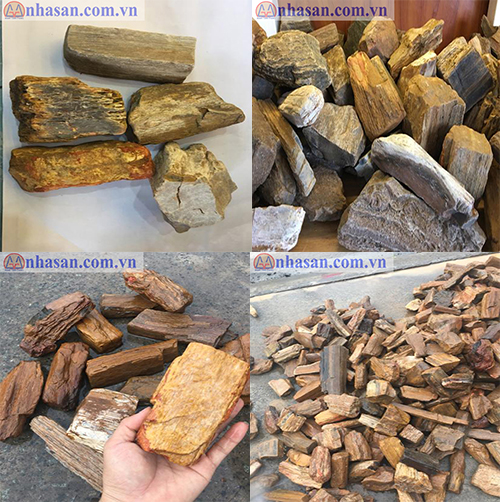 Wood Feng Shui Coarse
